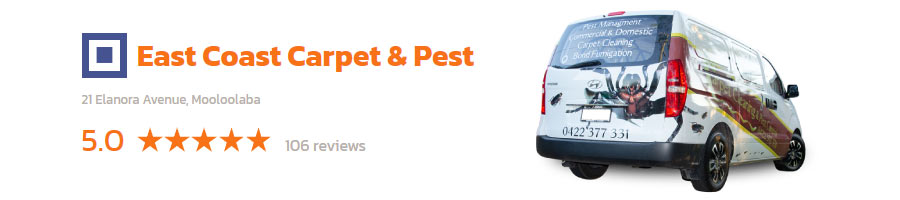 Pest Control Maroochydore