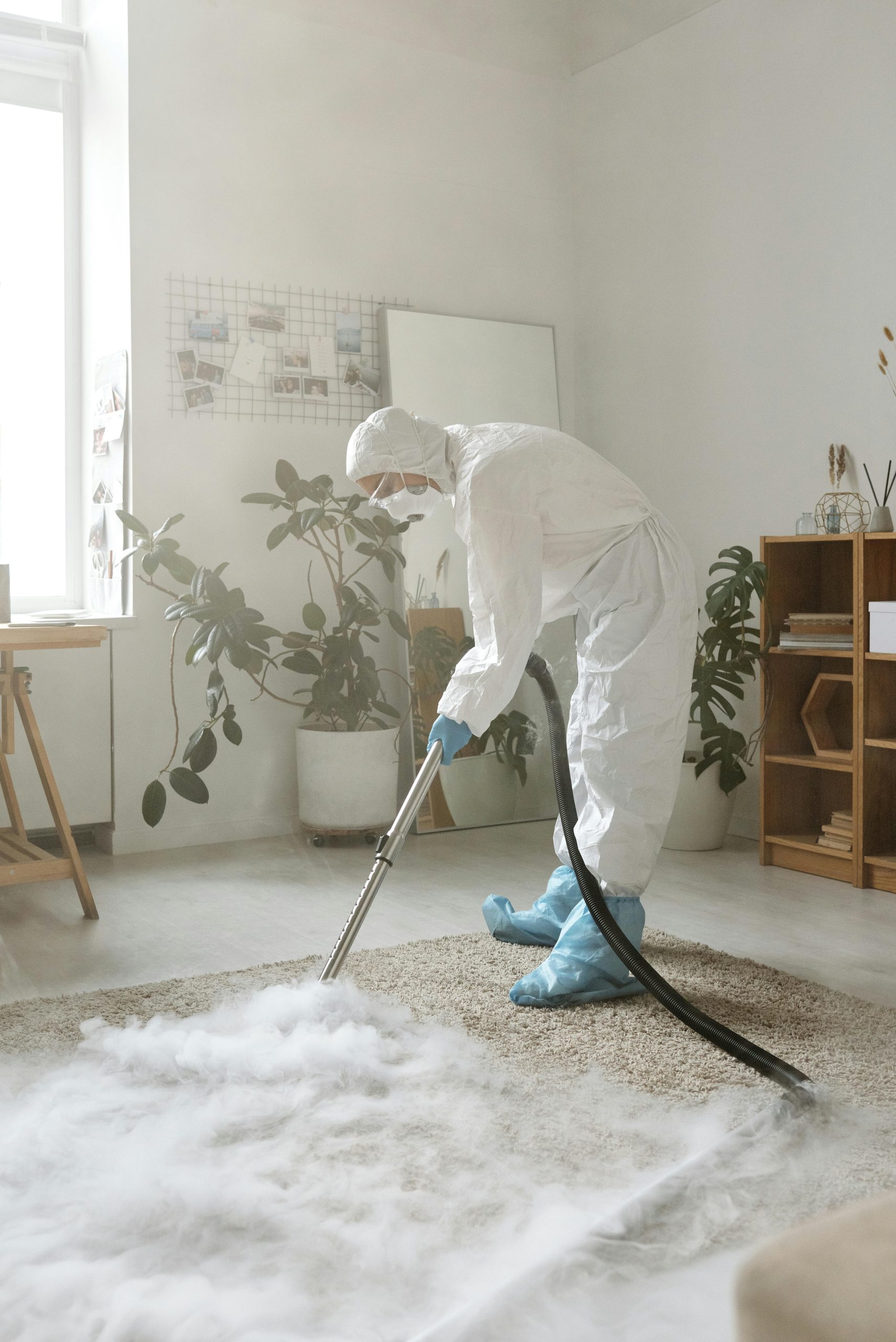 Carpet Cleaning