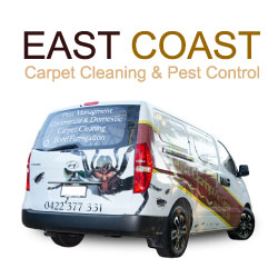 Featured-Image-carpet-cleaning-and-perst-contraol Carpet Cleaning
